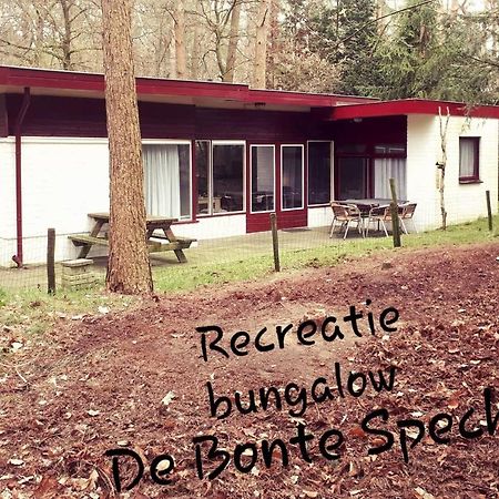 Villa Bonte Specht à Otterlo Extérieur photo