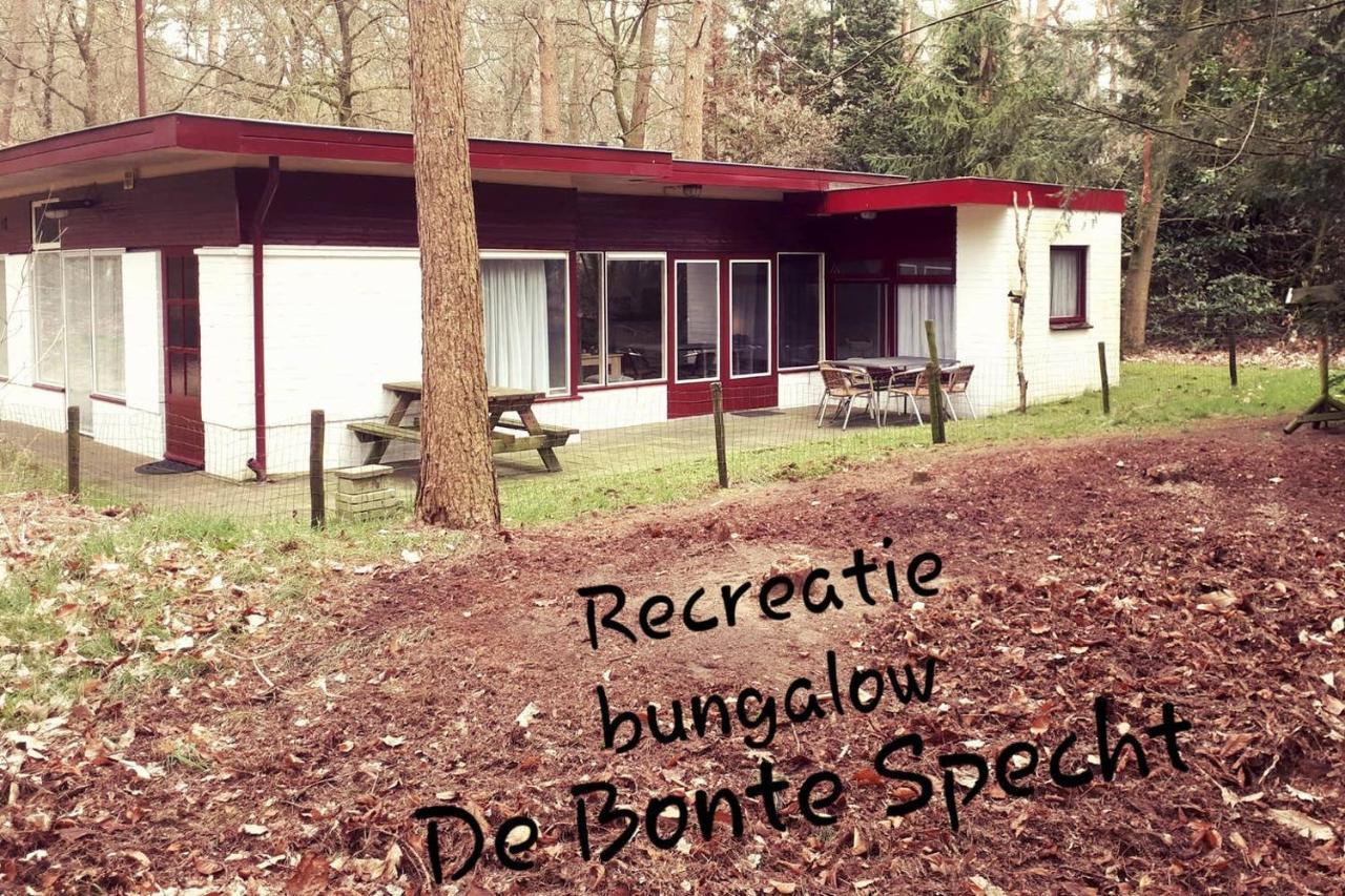 Villa Bonte Specht à Otterlo Extérieur photo